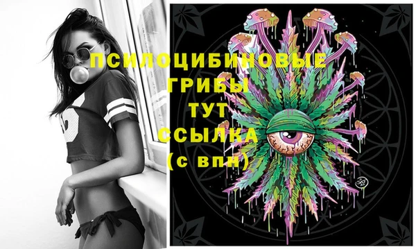 бошки Алексеевка