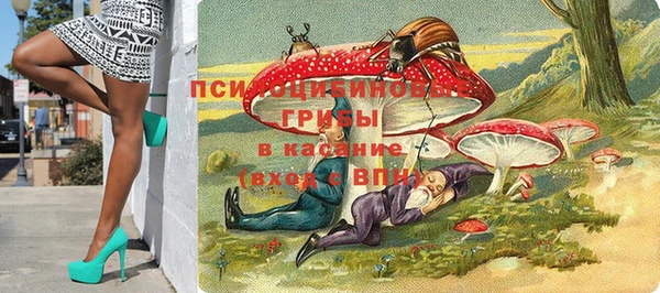 бошки Алексеевка
