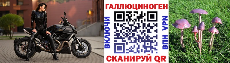 Галлюциногенные грибы Psilocybe mega ссылка Дзержинский